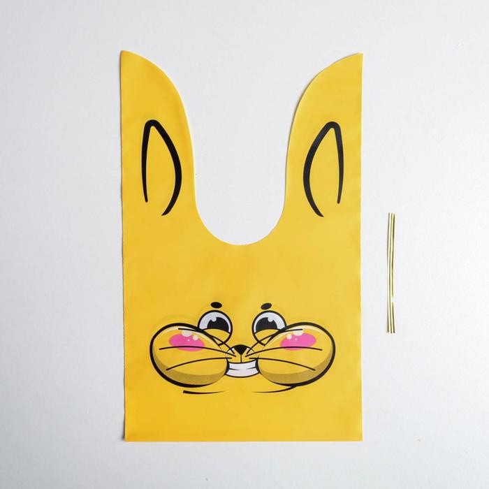 Пакетик подарочный «Кот», 16 х 26 см